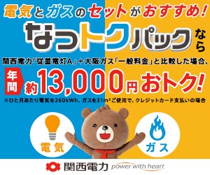 関西電力なっトクパック