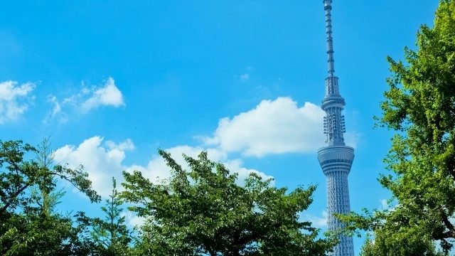 関東地方の観光地「東京スカイツリー」のイメージ画像