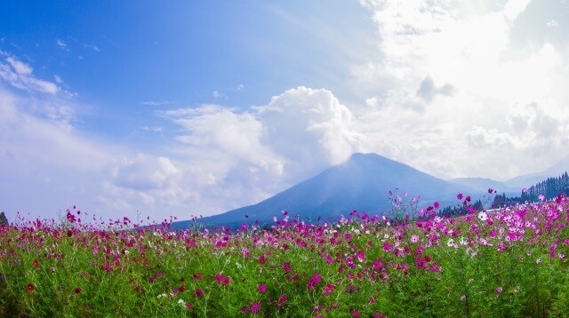 九州地方の観光地イメージ画像「生駒高原」