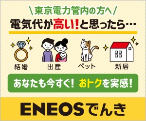 ENEOSの電気と都市ガスセットプラン