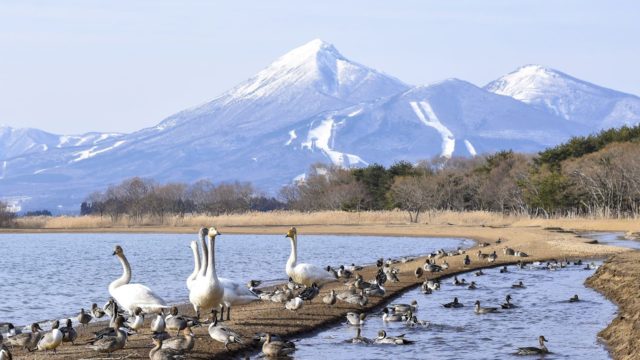 磐梯山と猪苗代湖イメージ