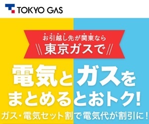 東京ガスの電気