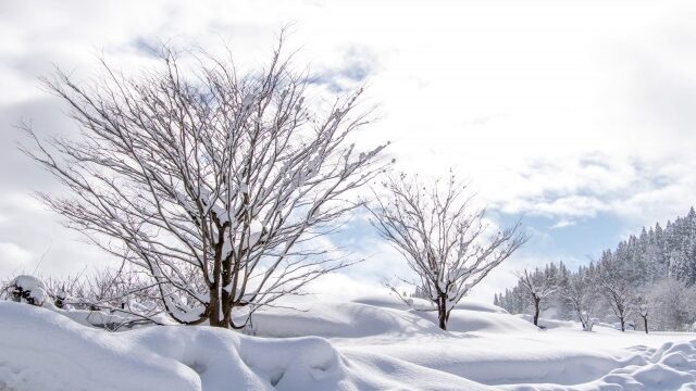 冬の雪原イメージ画像